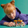 LEGO Friends 42608 Mały sklep z akcesoriami - 1202551 - zdjęcie 11